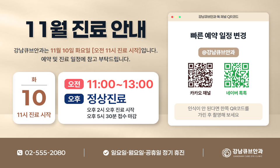 11월 진료안내